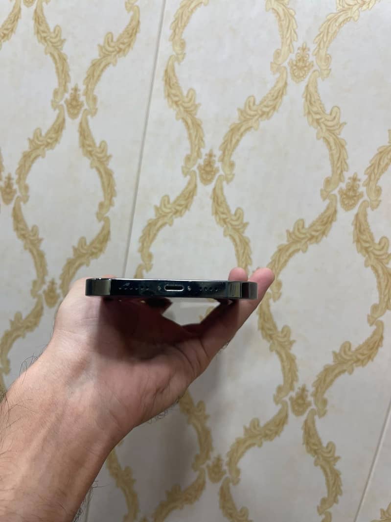 Iphone 13 pro max 3