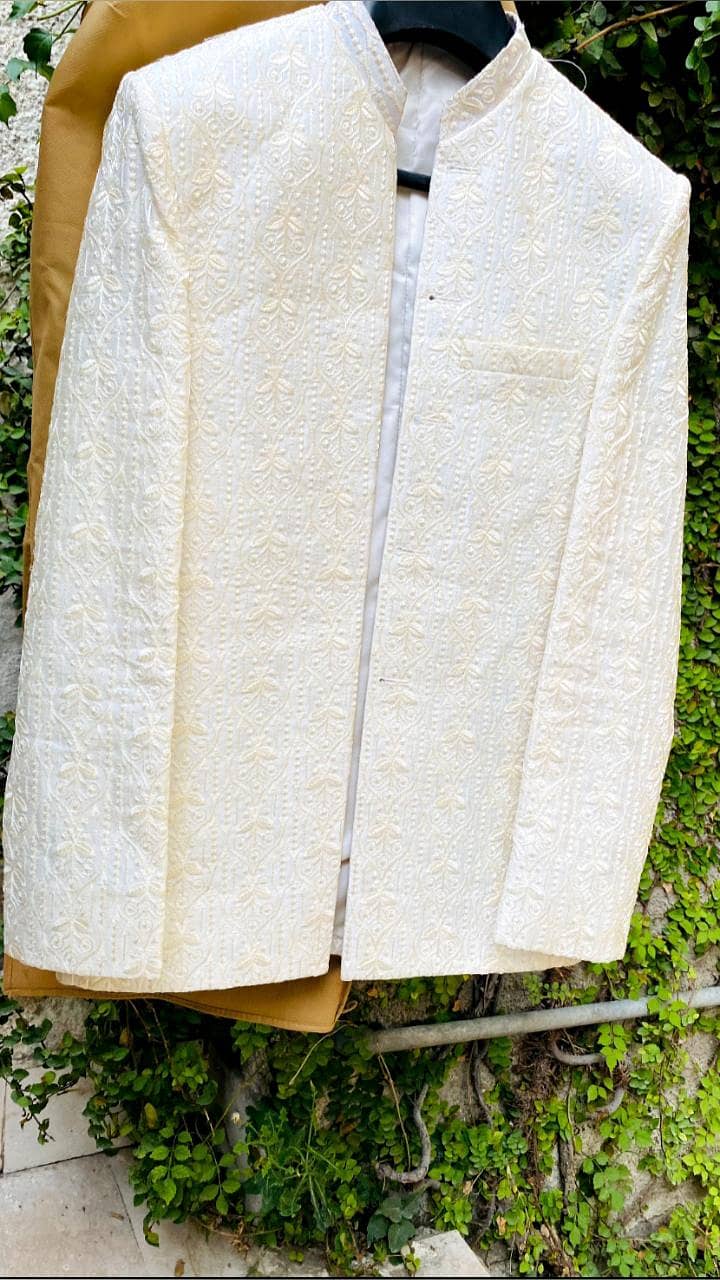 embroidered coat 1