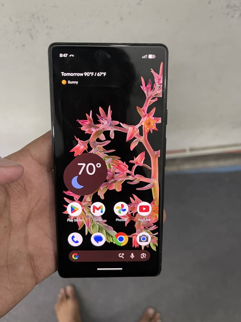 Google Pixel 6 5