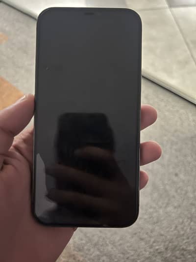 Apple iPhone 12 Pro Max PTA Approved