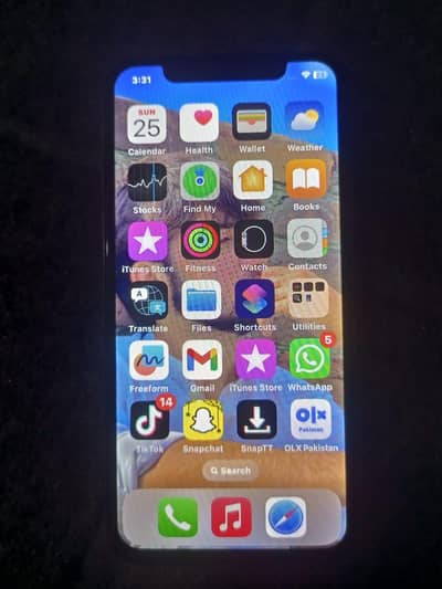 Apple iPhone X 256