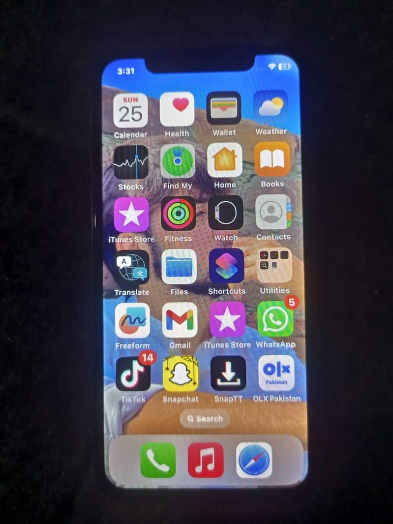 Apple iPhone X 256 0