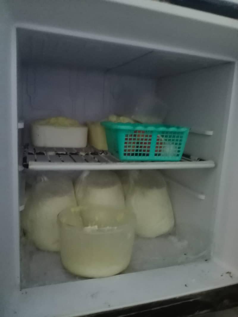 Refrigerator Fridge 2