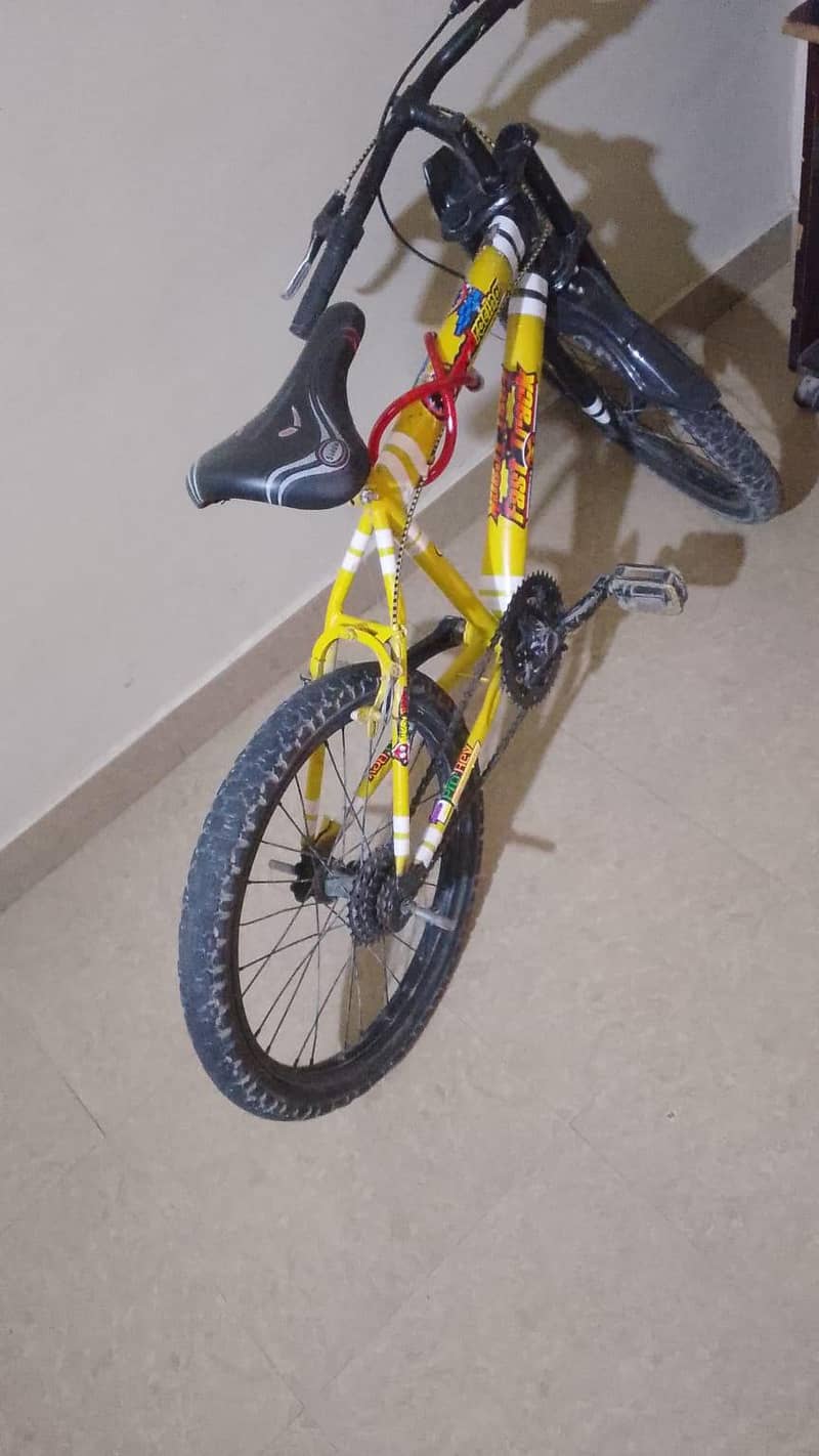 Road cycle 1