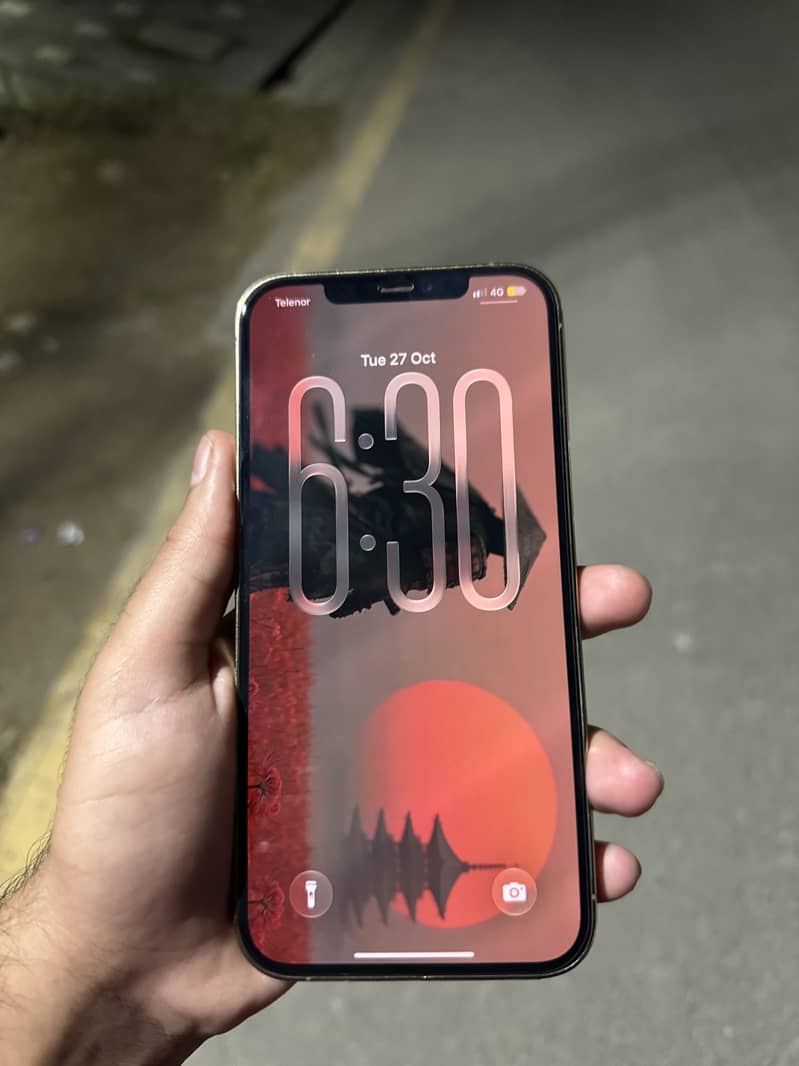 Apple iPhone 12 Pro Max 4