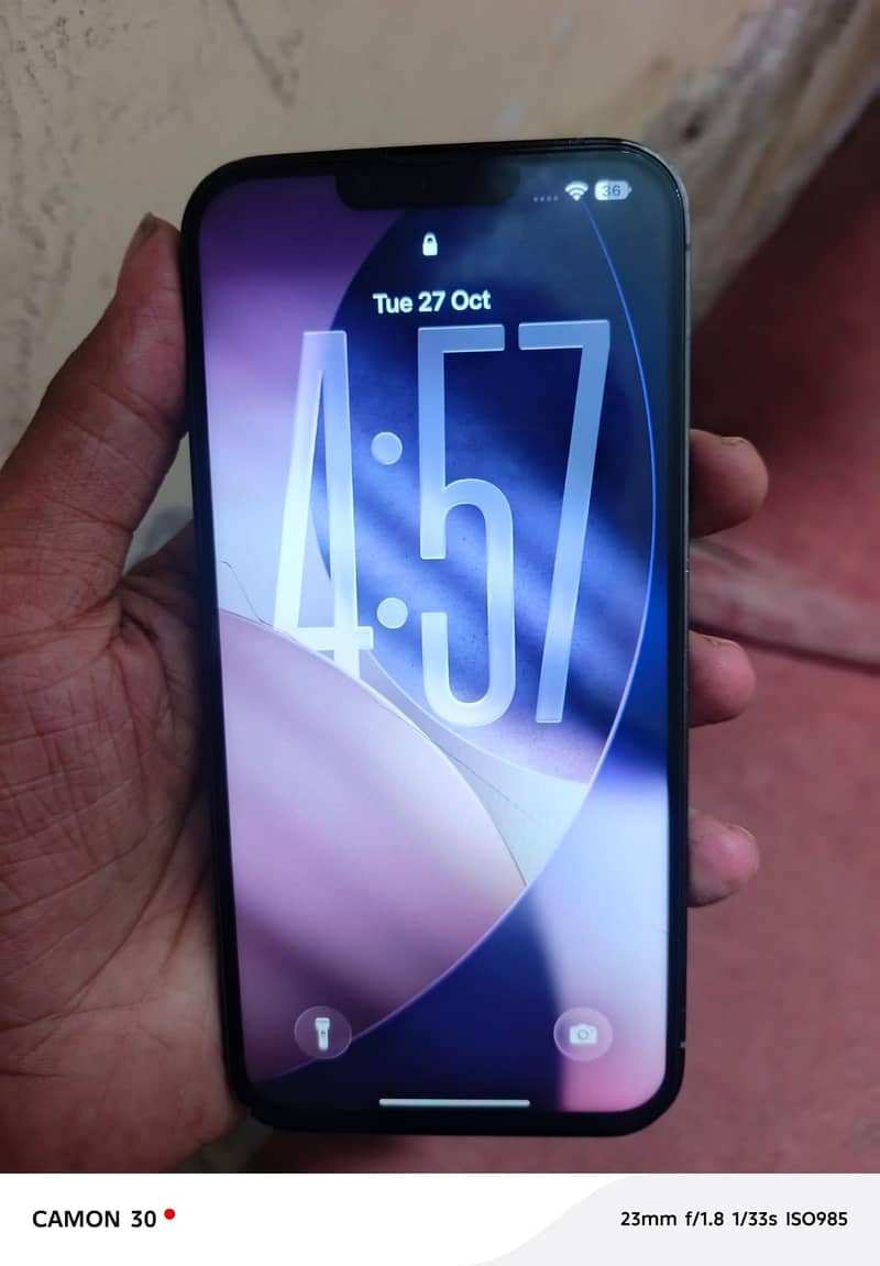 Apple iPhone 13 Pro Max 3