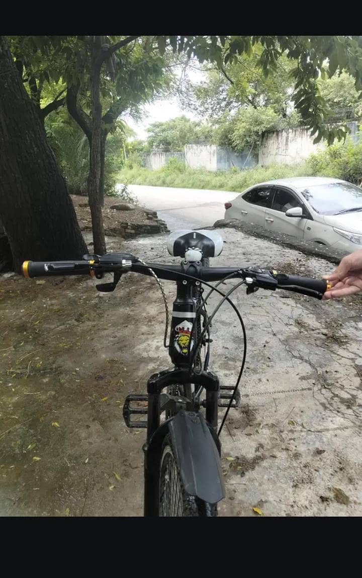 bicycle 2