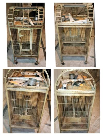 fancy cage