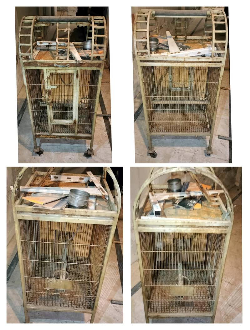 fancy cage 0
