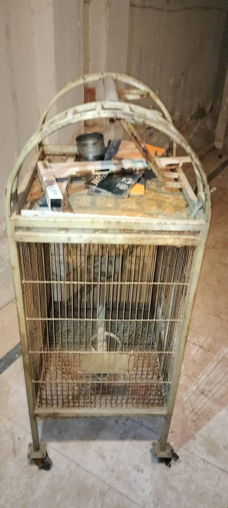 fancy cage 1