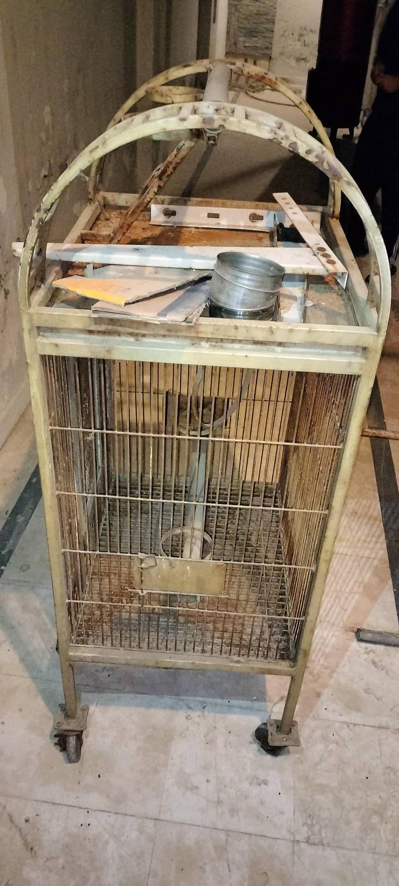 fancy cage 3