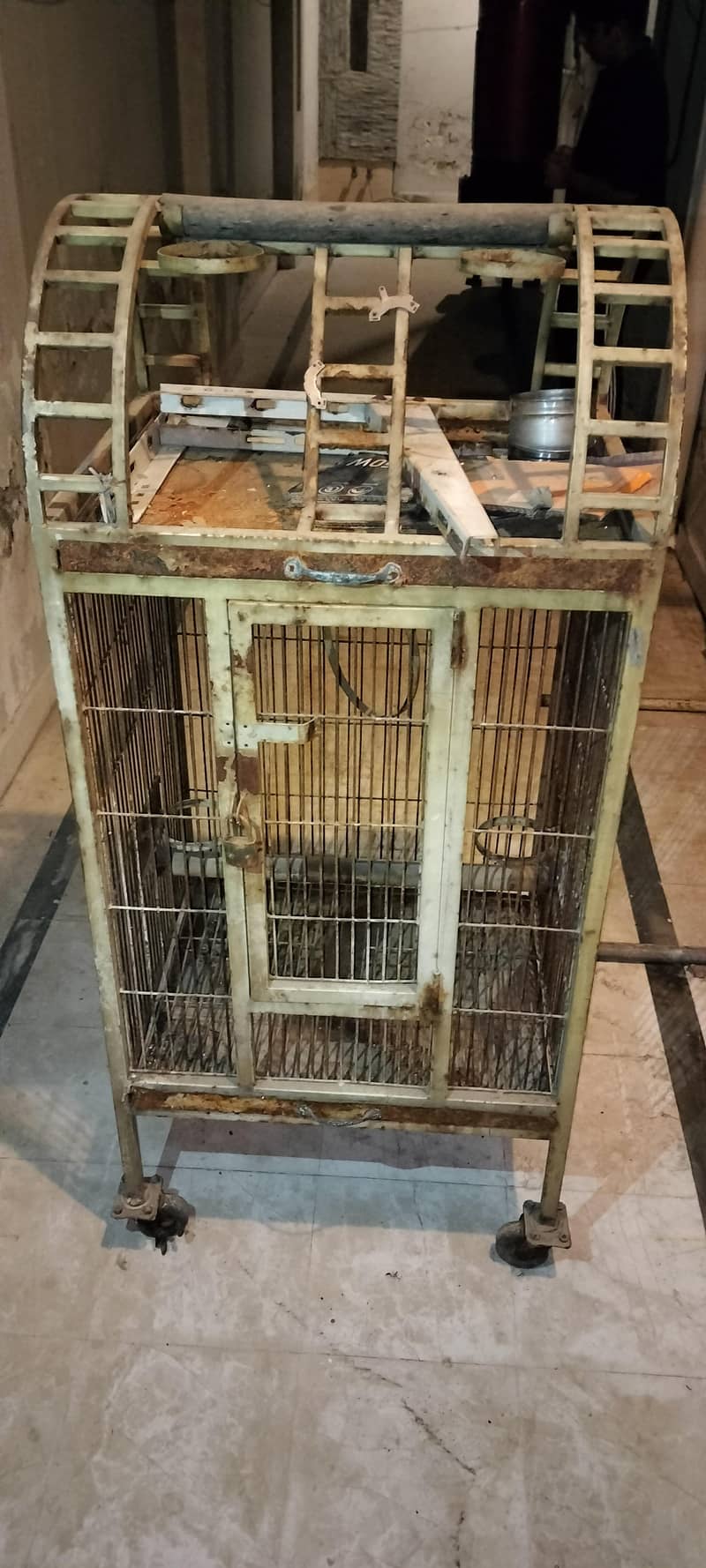 fancy cage 4
