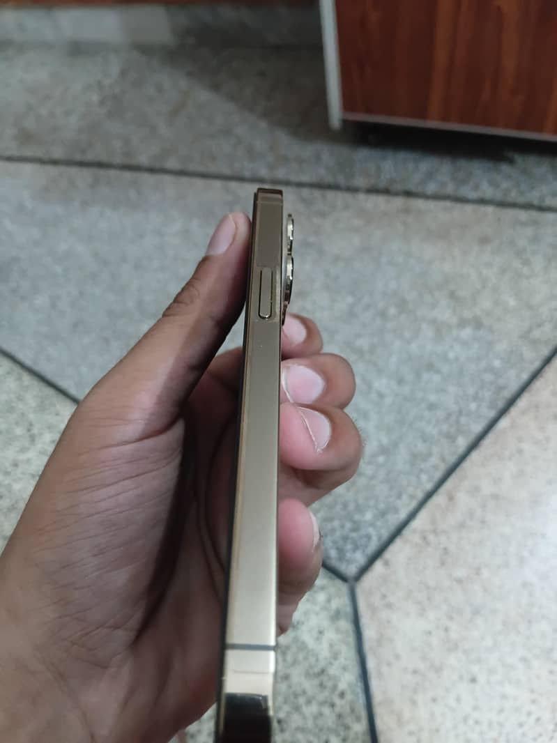 Apple iPhone 13 Pro 4