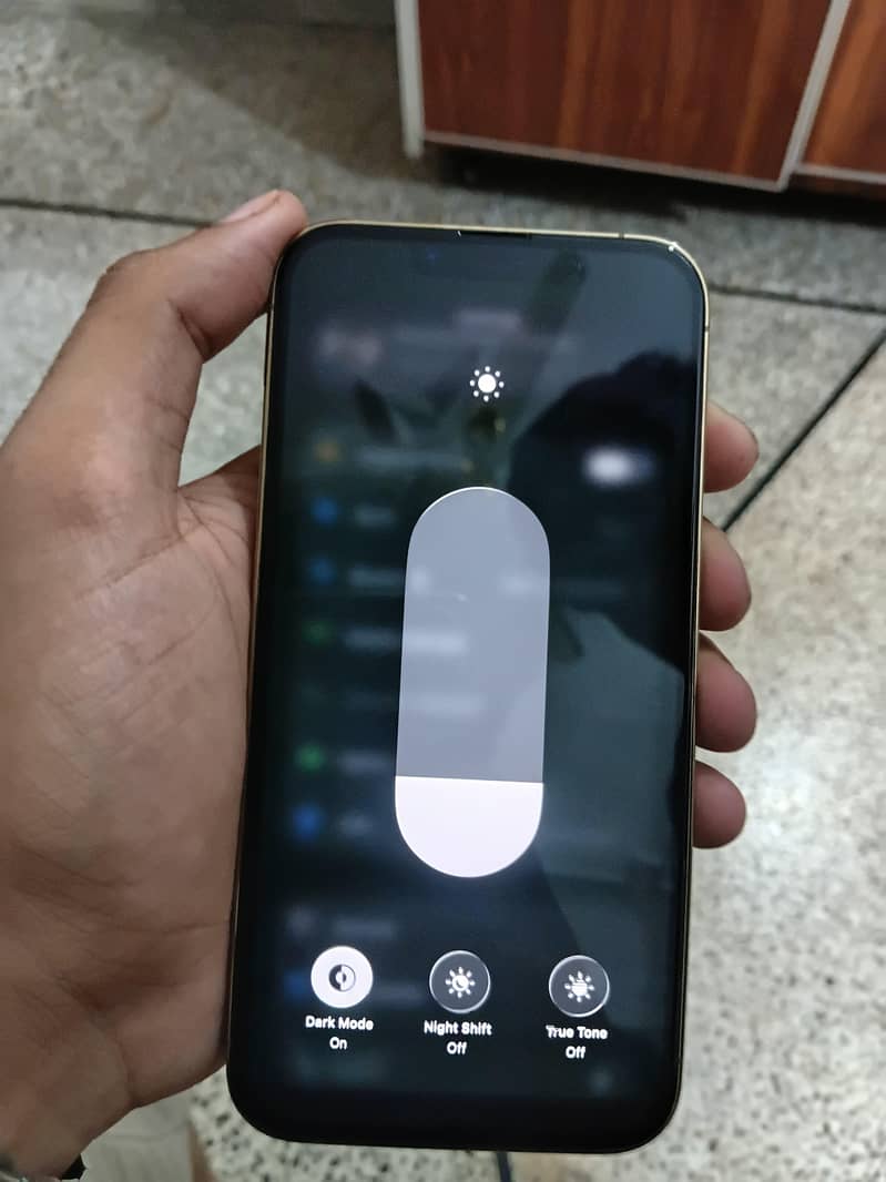 Apple iPhone 13 Pro 9