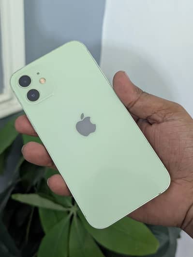Apple iPhone 12