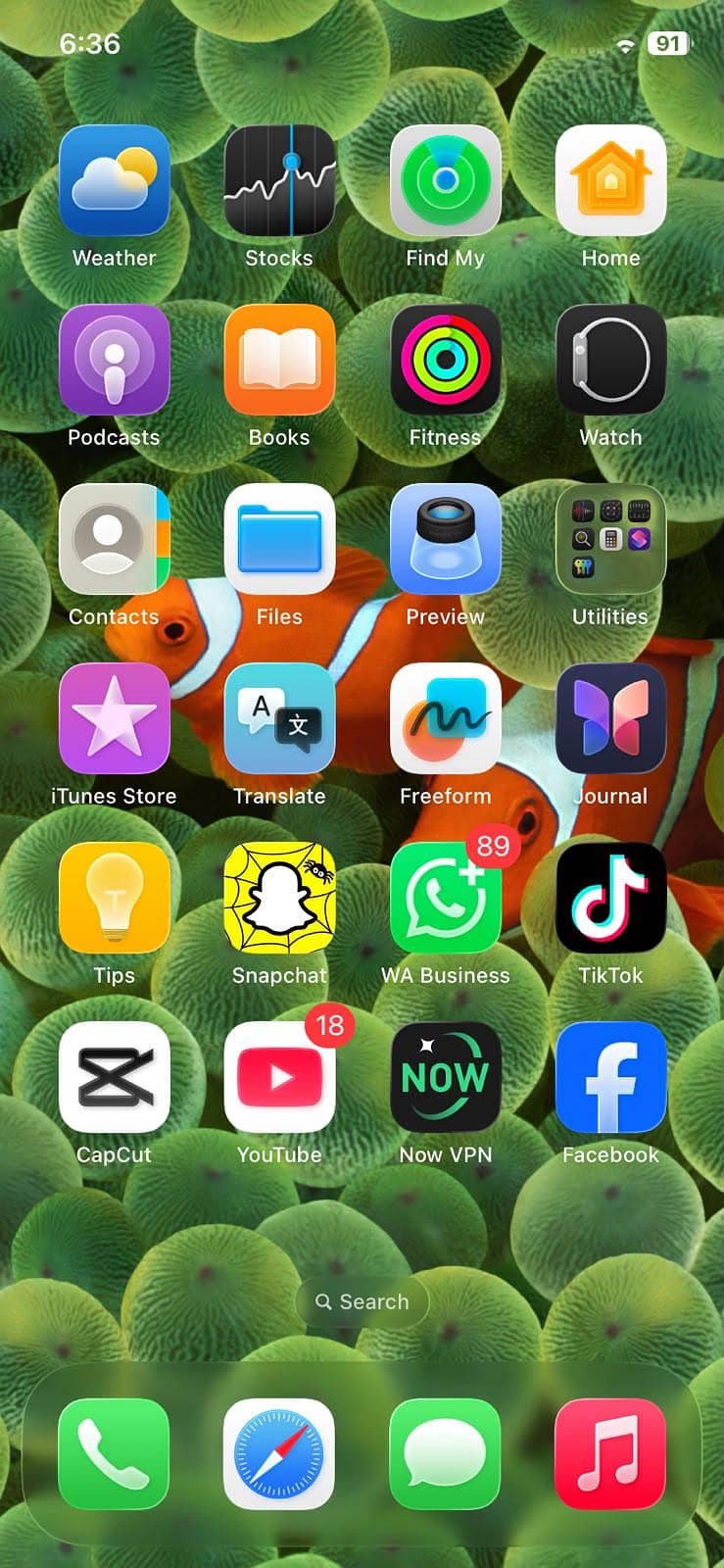Apple iPhone 11 4