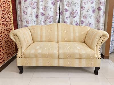 Stylish 2-Seater Sofa at an Affordable Price