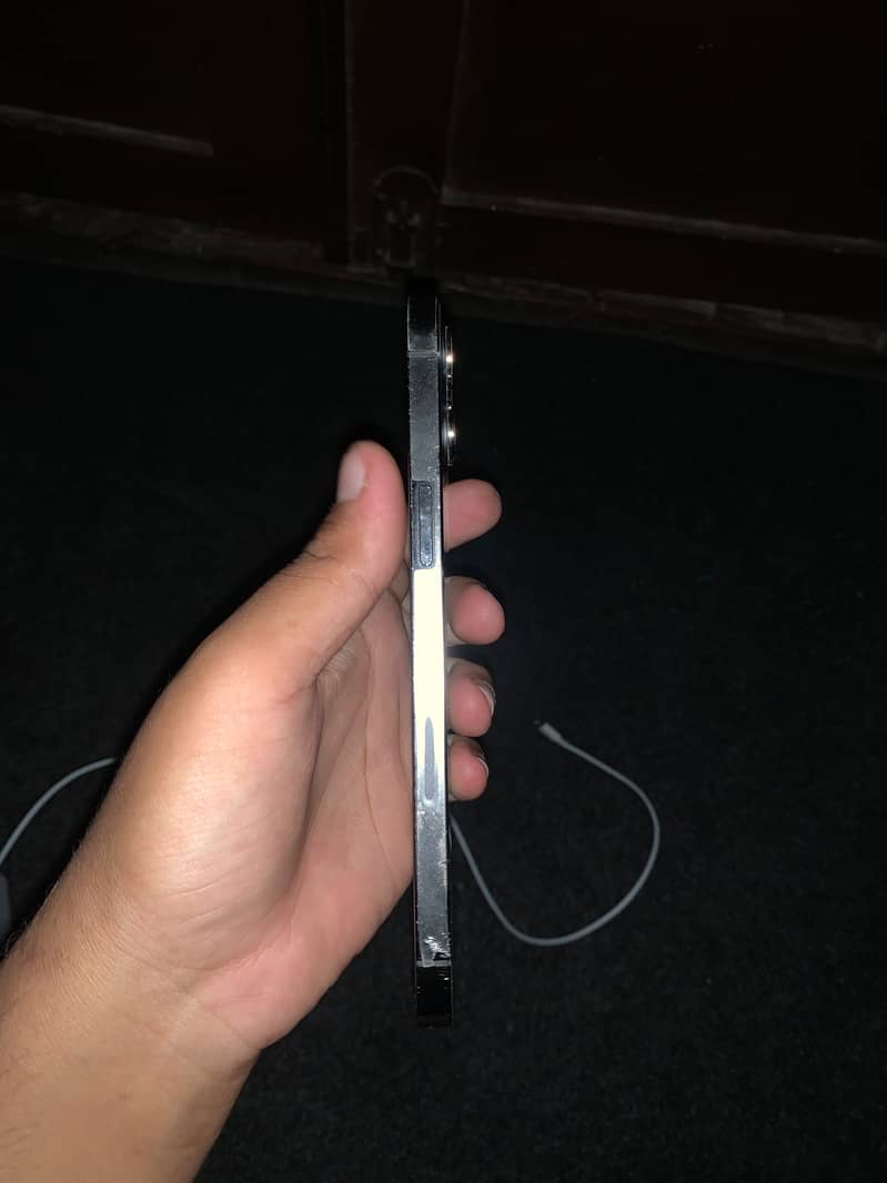 Apple iPhone 12 Pro Max 1