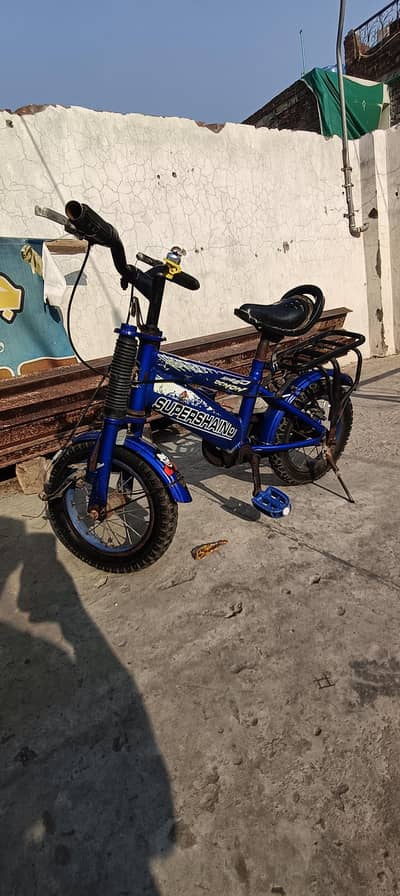 cycle 12 " super shino