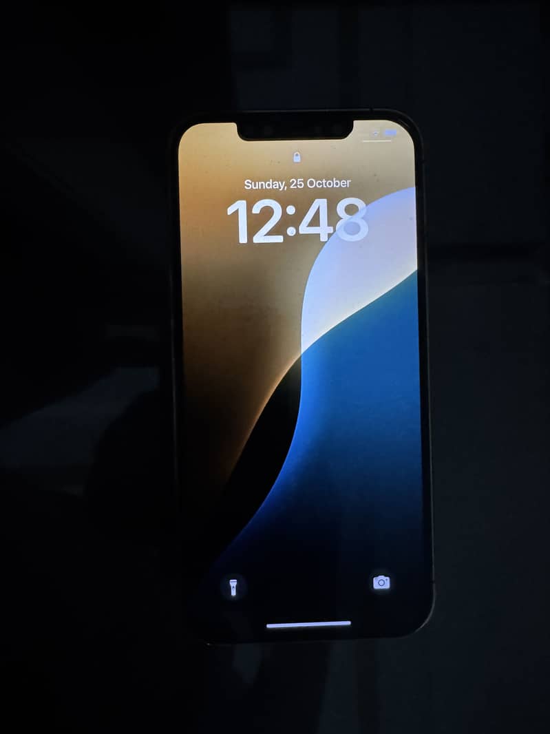 Apple iPhone 12 Pro Max 0