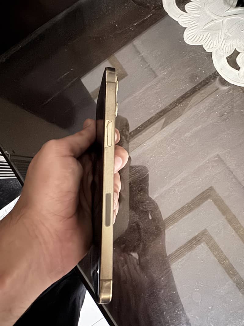 Apple iPhone 12 Pro Max 1