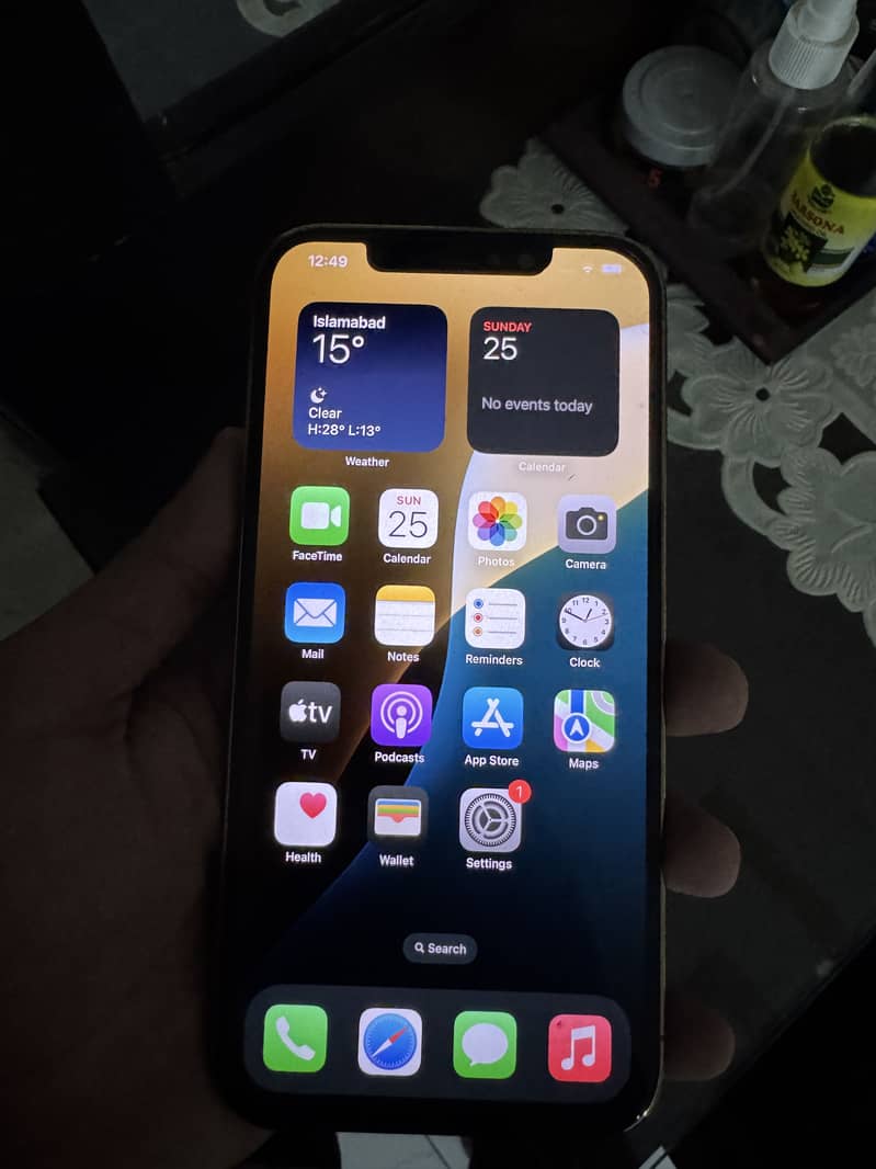 Apple iPhone 12 Pro Max 2
