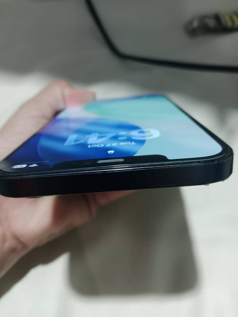 Apple iPhone 12 Pro Max 2