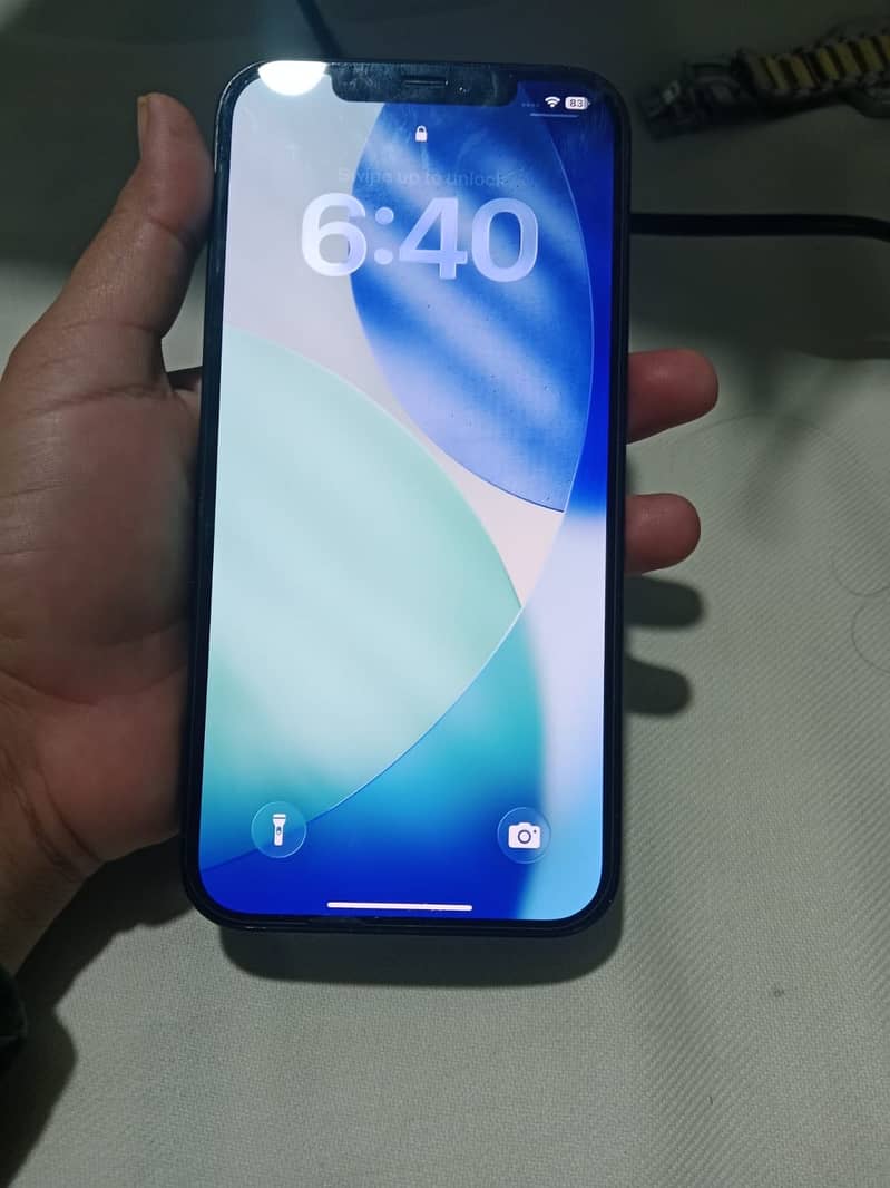 Apple iPhone 12 Pro Max 1