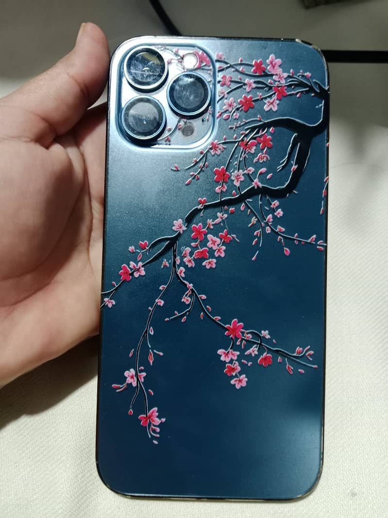 Apple iPhone 12 Pro Max 0