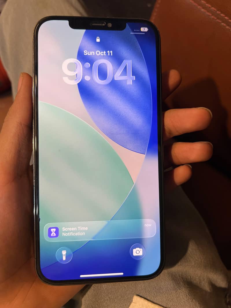 Apple iPhone 12 Pro Max 1
