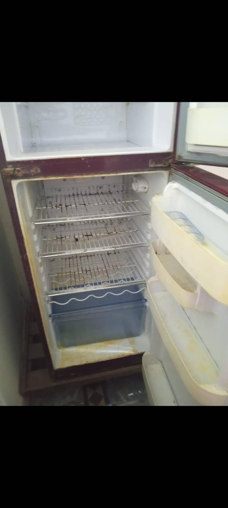Freezer 3