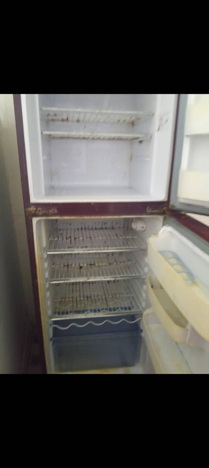 Freezer 4