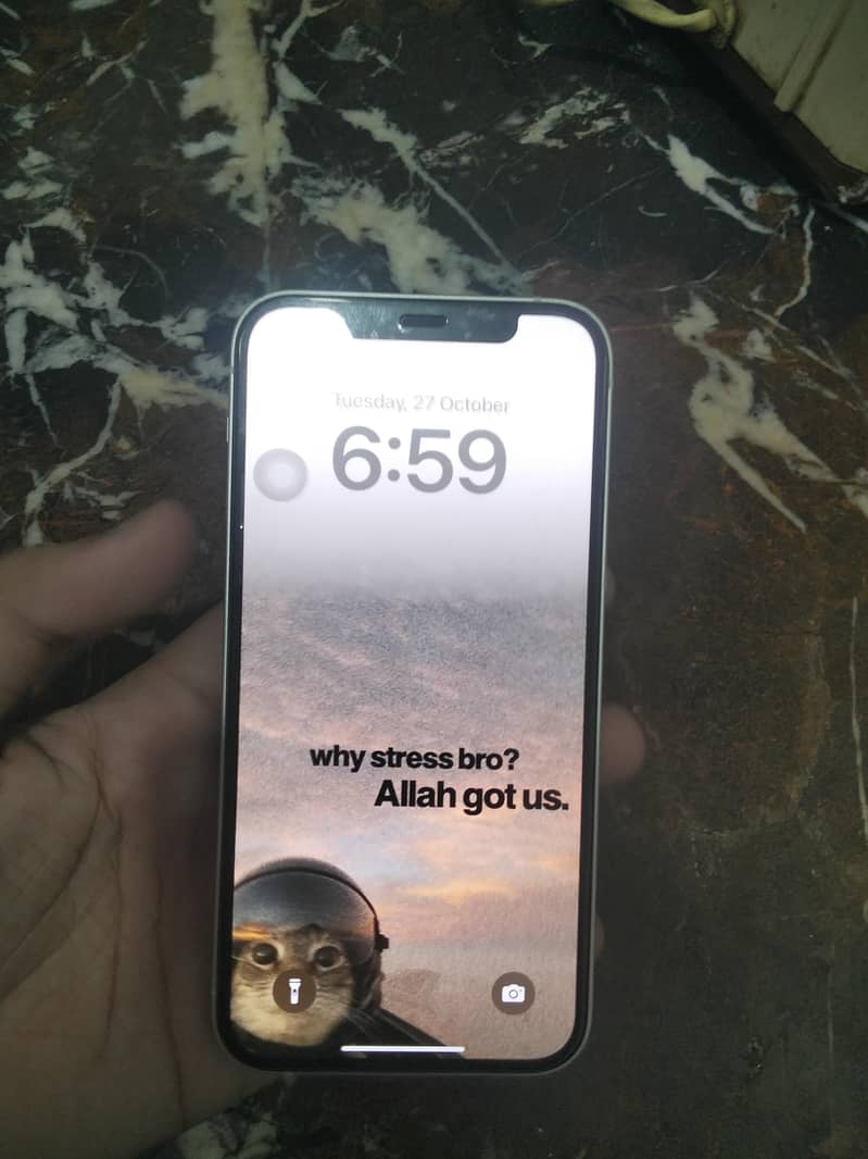 Apple iPhone 12 1