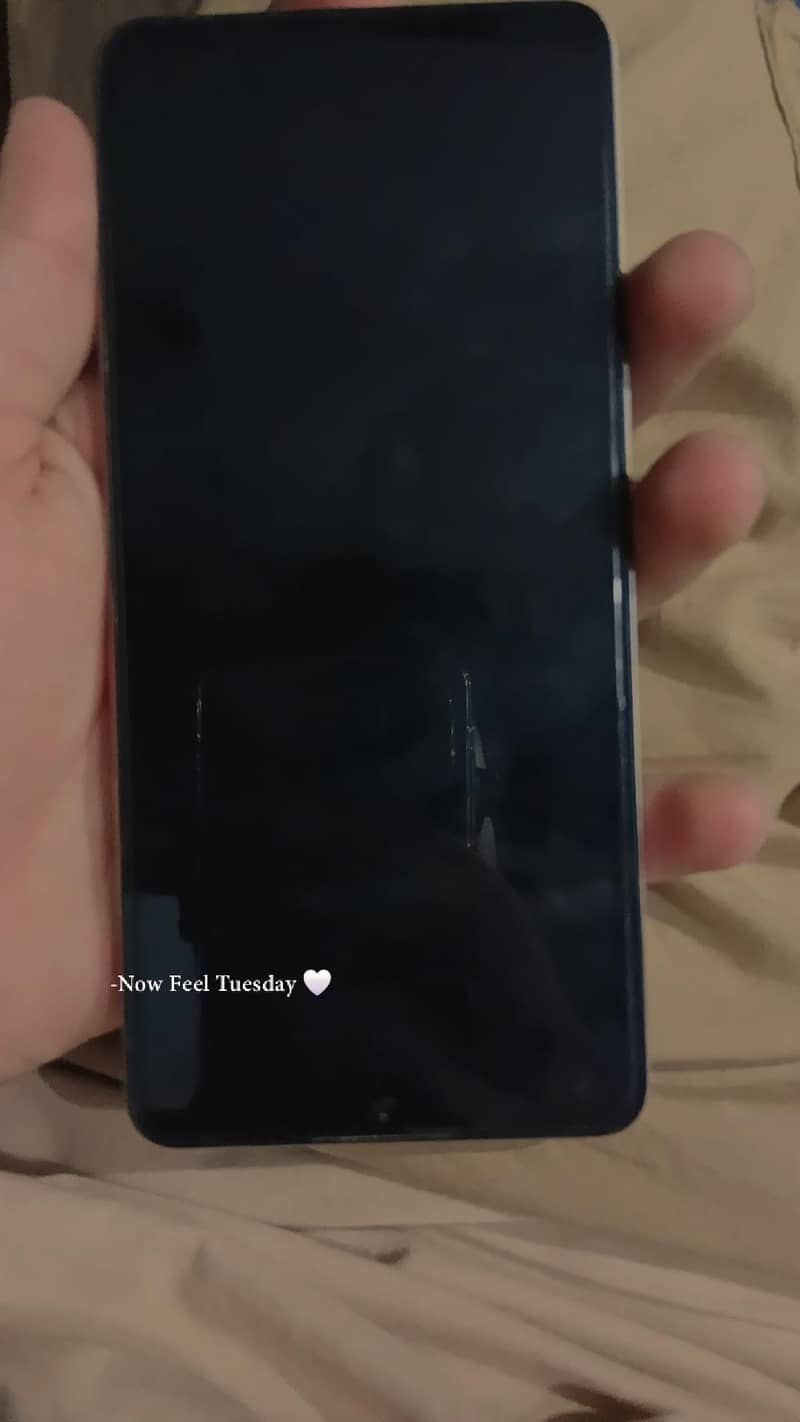 Dcode Bold 4