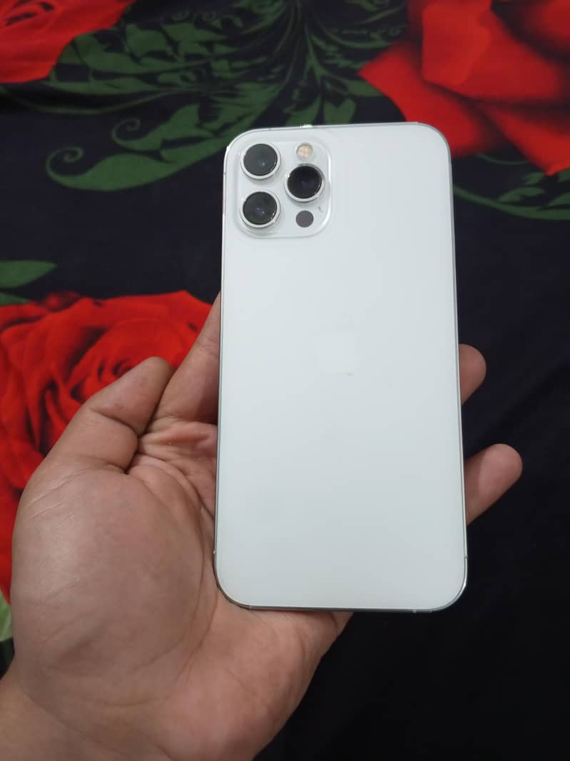 Apple iPhone 12 Pro Max 1