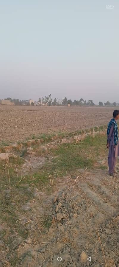 25 Acres Agricultural Land for Sale in Sakrand, Nawabshah