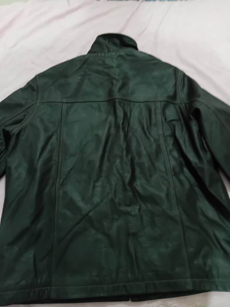 leather jacket imported 1