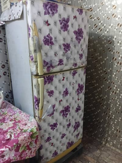 PEL Double Door Refrigerator for Sale