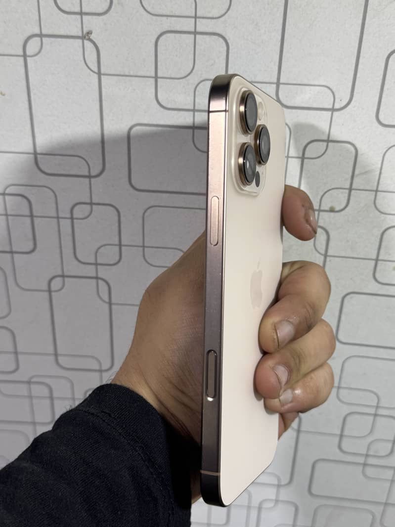 Apple iPhone 16 Pro Max 1