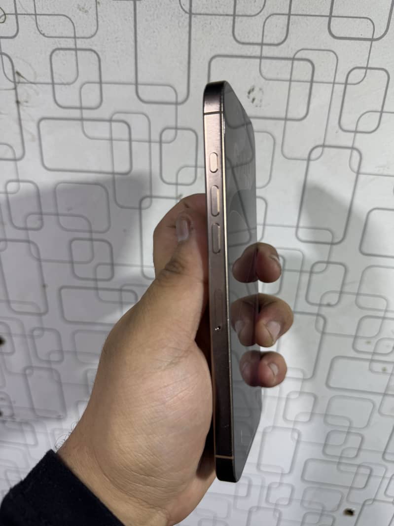 Apple iPhone 16 Pro Max 5