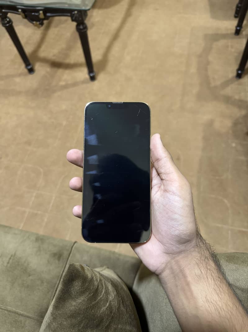 Apple iPhone 13 Pro Max 1