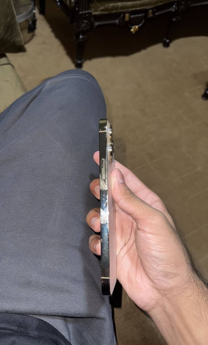 Apple iPhone 13 Pro Max 2