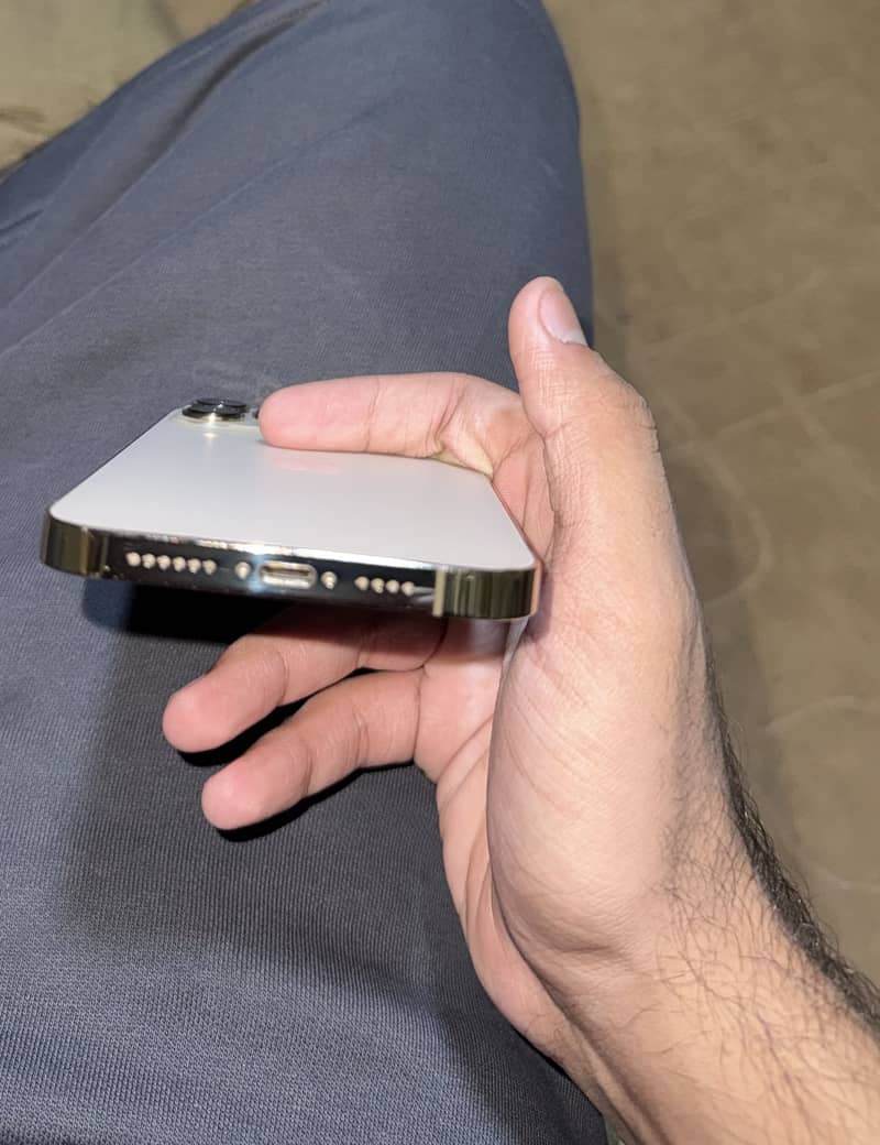 Apple iPhone 13 Pro Max 7