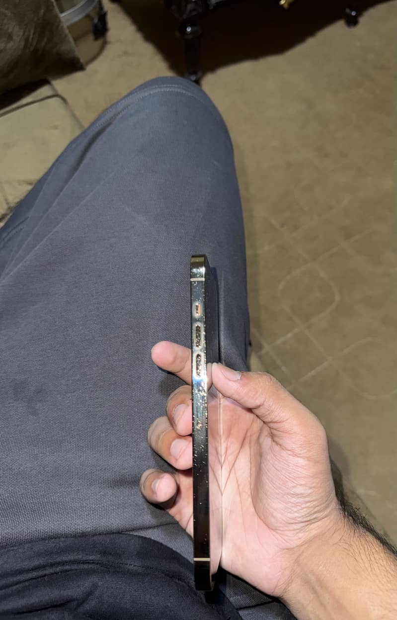 Apple iPhone 13 Pro Max 8