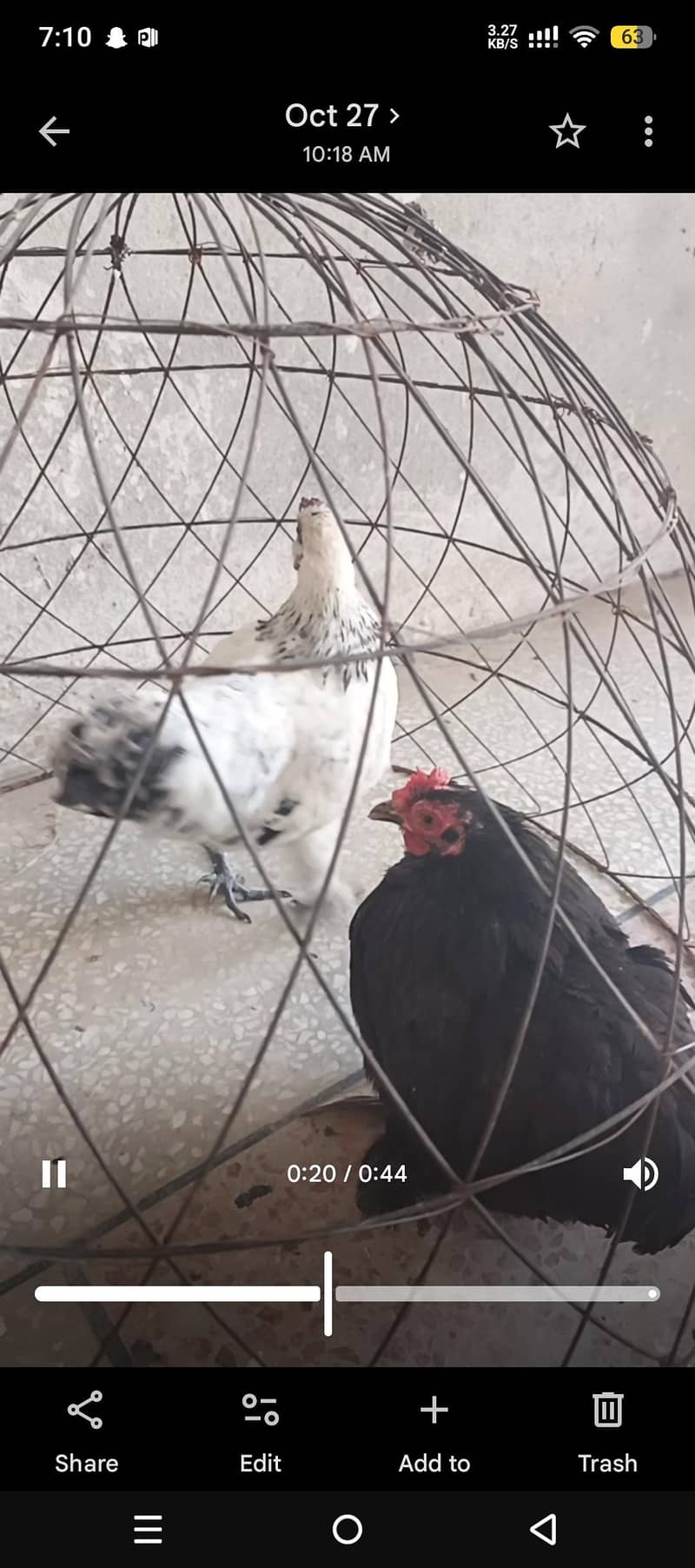 Bantam 3