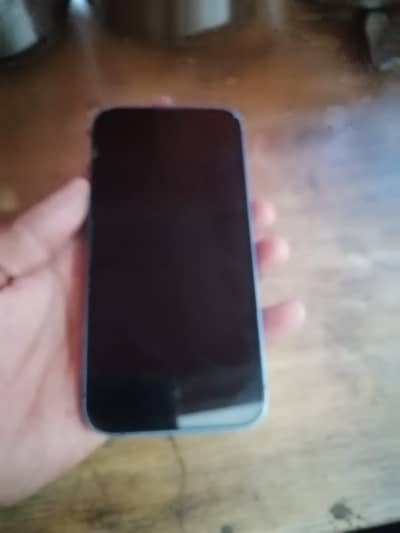 Apple iPhone 13