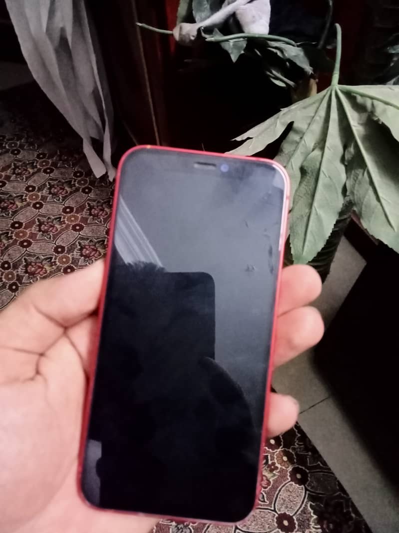 Apple iPhone 12 mini 1