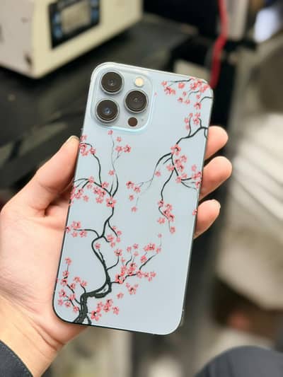 Apple iPhone 13 Pro Max