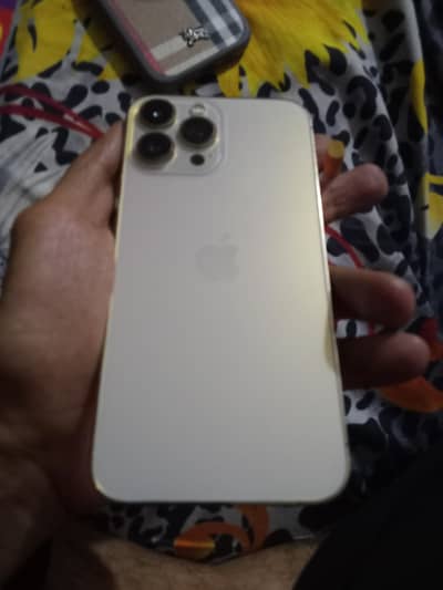 Apple iPhone 13 Pro Max