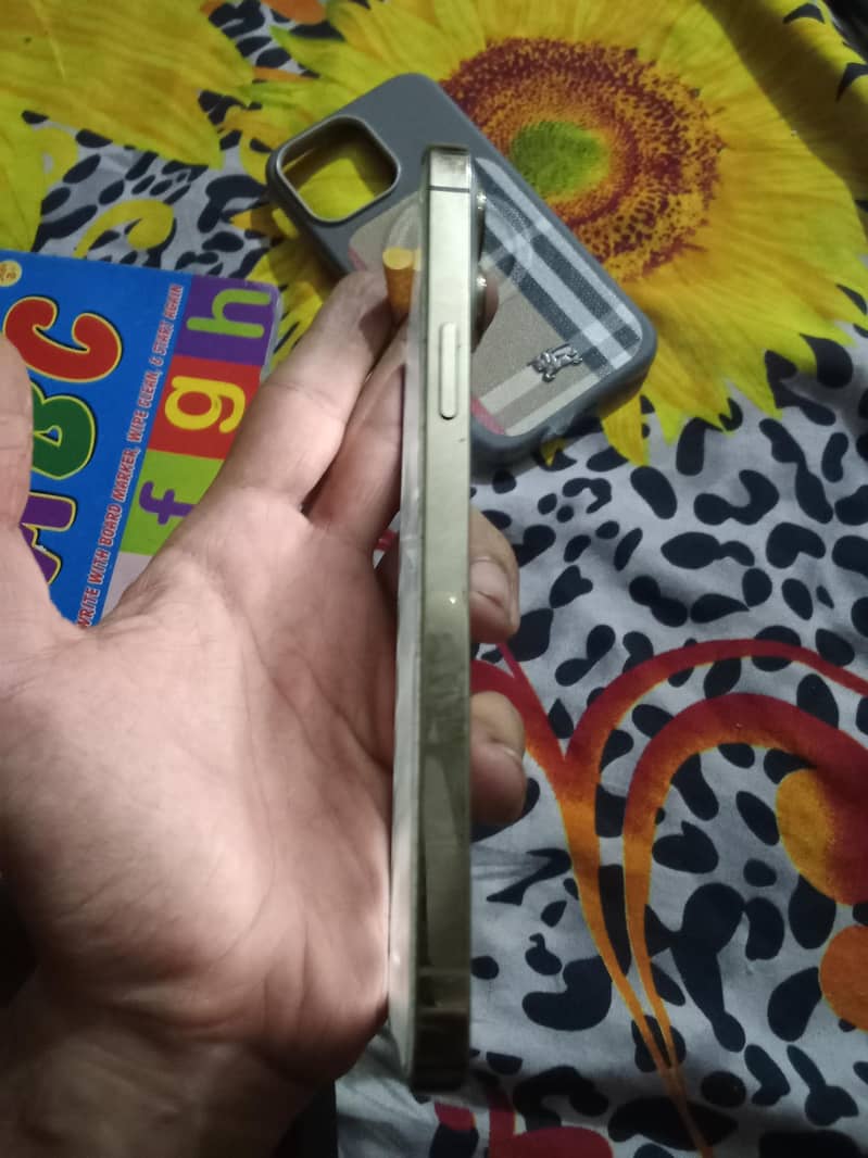 Apple iPhone 13 Pro Max 1